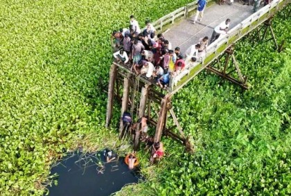 বরগুনায় ব্রিজ দুর্ঘটনা, ২ তদন্ত কমিটি গঠন 