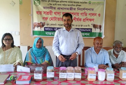 চুয়াডাঙ্গায় গরু মোটাতাজাকরণ প্রশিক্ষণ