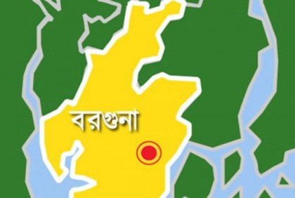 বরগুনায় সাপের কামড়ে নারীর মৃত্যু