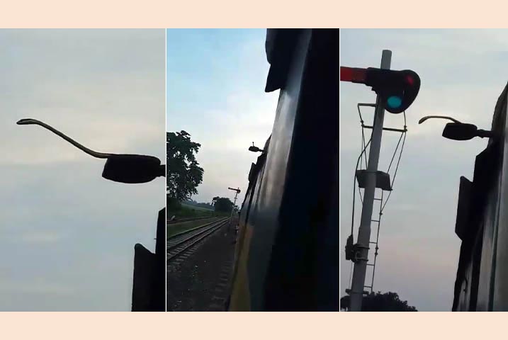 চলন্ত ট্রেনের ছাদে সাপ, যাত্রীদের মাঝে আতঙ্ক