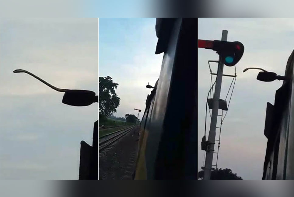  আন্তঃনগর দোলনচাঁপা এক্সপ্রেসের ছাদে সাপ: যাত্রীদের মাঝে আতঙ্ক