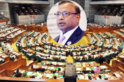 ডেঙ্গু দেশের সর্বত্র ছড়িয়ে পড়েছে : তাজুল ইসলাম