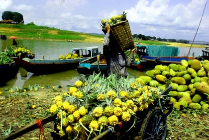 পাহাড়ে মৌসুমী ফলের বাম্পার ফলন