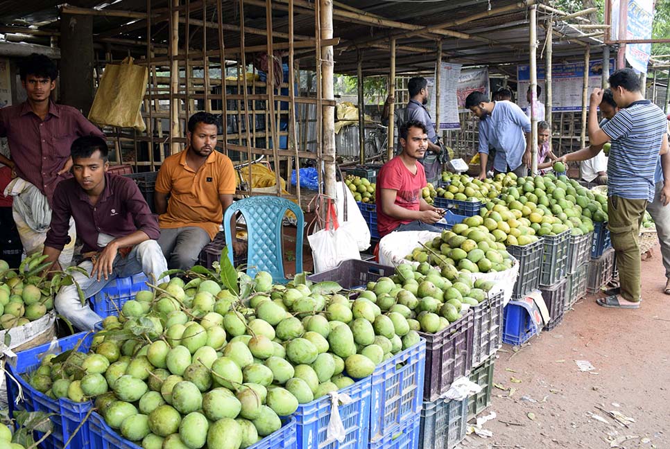 হারিয়ে গেছে ৩৬ গন্ডায় একশ আম কেনা-বেচার রীতি