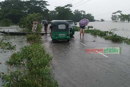 বন্যায় রংপুরে ৩১৭ হেক্টর ফসল, ৪ কোটি টাকার মাছ ক্ষতিগ্রস্ত 
