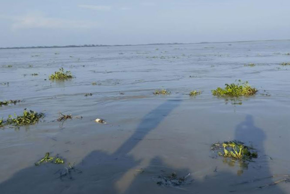 গাইবান্ধায় নদ-নদীর পানি বৃদ্ধি, তিস্তার পানি বিপৎসীমার উপরে