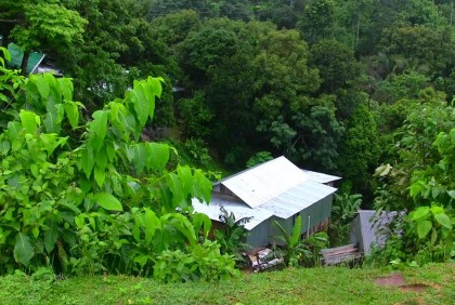 পাহাড় ধসের আতঙ্ক, থামছে না বৃষ্টি