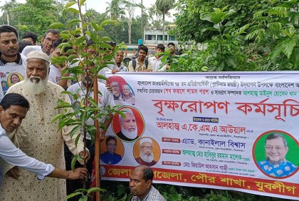 পিরোজপুরে যুবলীগের আয়োজনে বৃক্ষ রোপন কর্মসূচি