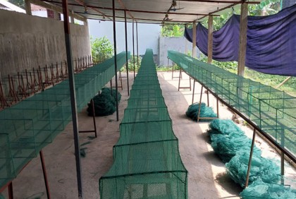 পাবনায় অবাধে তৈরি হচ্ছে নিষিদ্ধ চায়না দুয়ারী জাল