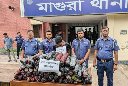 
মাগুরায় গাঁজাসহ আটক ১