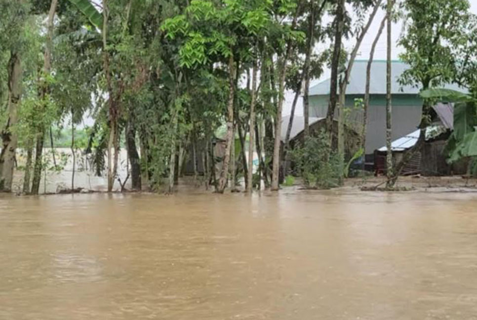 নালিতাবাড়ীতে ভোগাই ও চেল্লাখালী নদীর পানি বিপৎসীমার উপরে