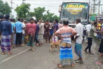 ভালুকায় বাসচাপায় বৃদ্ধ নিহত 