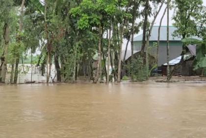নালিতাবাড়ীতে ভোগাই ও চেল্লাখালী নদীর পানি বিপৎসীমার উপরে