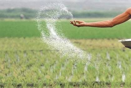 সৌদি-রাশিয়া থেকে ৭০ হাজার টন সার কিনবে সরকার