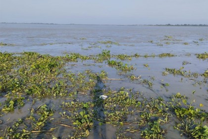 গাইবান্ধায় সব নদ-নদীর পানি বৃদ্ধি অব্যাহত, বিপৎসীমার উপরে ব্রহ্মপুত্র