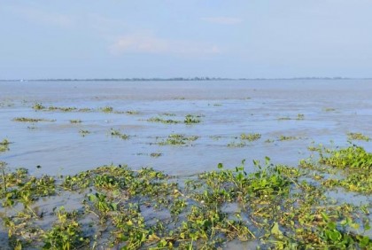 গাইবান্ধায় বিপৎসীমার ৬২ সেন্টিমিটার ওপরে ব্রহ্মপুত্রের পানি, পানিবন্দি হাজারো মানুষ