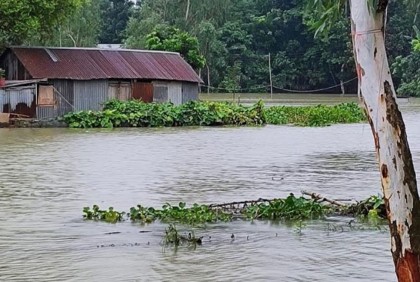 যমুনার পানি বিপৎসীমার উপর দিয়ে প্রবাহিত