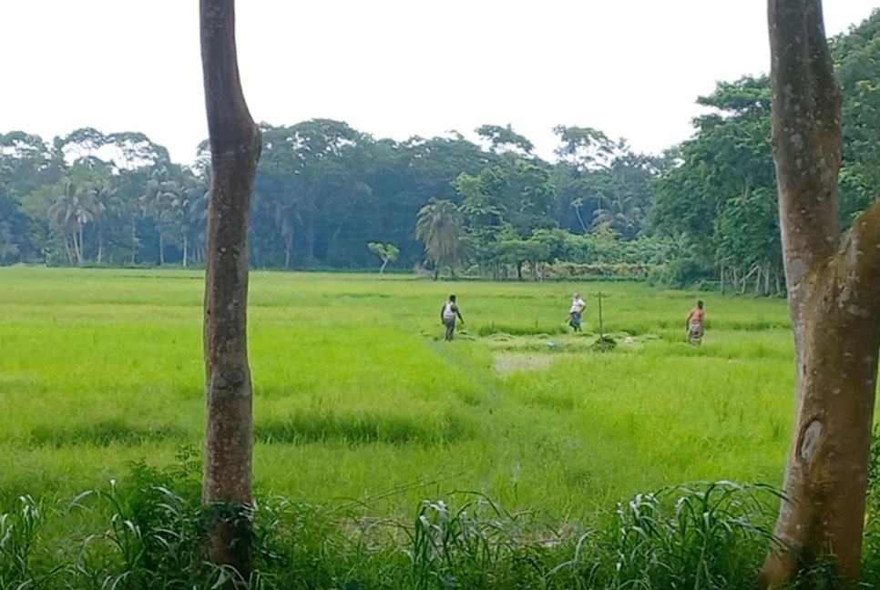 ফসলি জমিতে স্টেডিয়াম নির্মাণের প্রস্তাবনায় ক্ষুব্ধ কৃষক