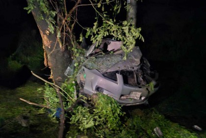 প্রাইভেটকার নিয়ন্ত্রণ হারিয়ে গাছের সঙ্গে ধাক্কা, ৫ বন্ধু নিহত