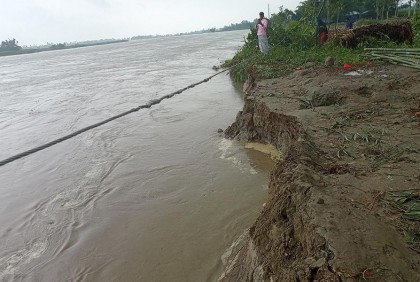 তিস্তার ভাঙনের কবলে শতাধিক পরিবার