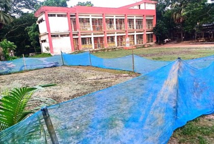 স্কুল মাঠে ধান চাষ!