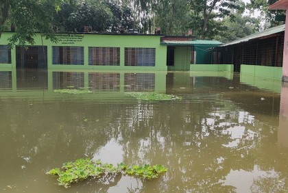 গাইবান্ধায় তলিয়ে গেছে ২ হাজার ৫০০ হেক্টর জমির ফসল
