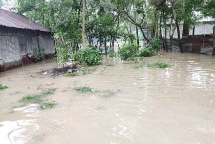 টাঙ্গাইলে চরাঞ্চলসহ ৩৬ হাজার মানুষ পানিবন্দি 