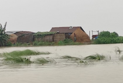তিন নদীর পানি কমলেও বেড়েছে করতোয়ার, গাইবান্ধায় কমেনি জনদুর্ভোগ
