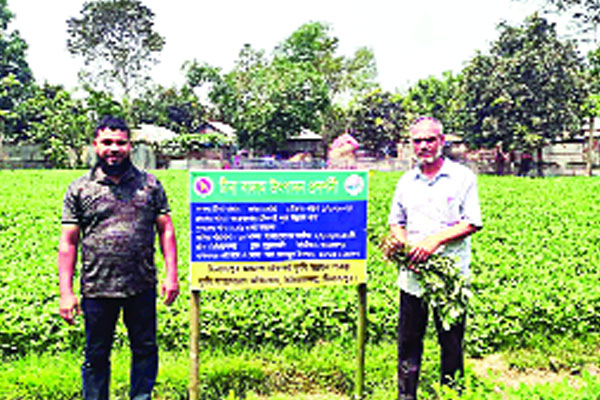 উচ্চ ফলনশীল চীনাবাদাম চাষে কৃষক