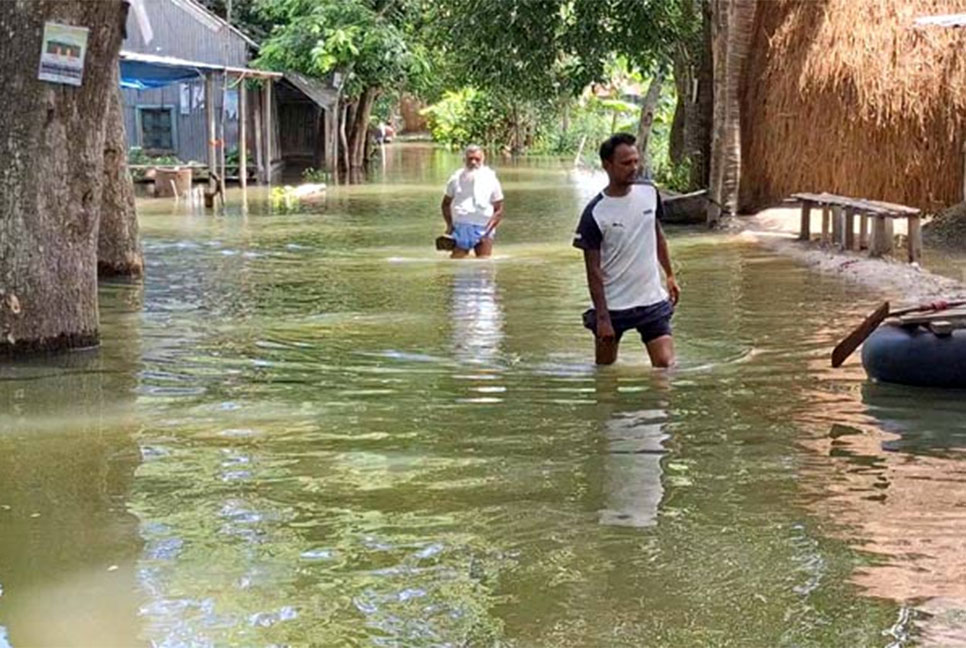 টাঙ্গাইলে যমুনার পানি কমলেও ভোগান্তিতে পানিবন্দি মানুষ