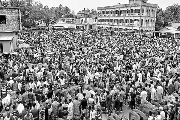 স্কুলমাঠে হাট, পাঠদান ব্যাহত