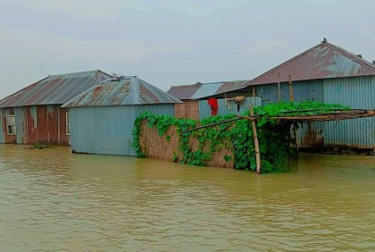 সিরাজগঞ্জে যমুনায় ভাঙন, দুর্ভোগে নদী পাড়ের মানুষ