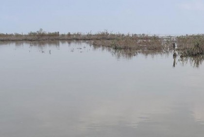 গাইবান্ধায় বন্যা পরিস্থিতি অপরিবর্তীত, ব্রহ্মপুত্র বিপৎসীমার ওপরে