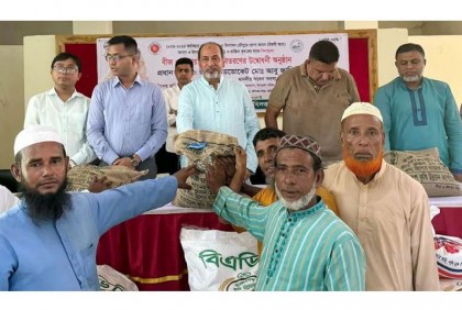 হবিগঞ্জে কৃষকদের মাঝে বিনামূল্যে বীজ বিতরণ