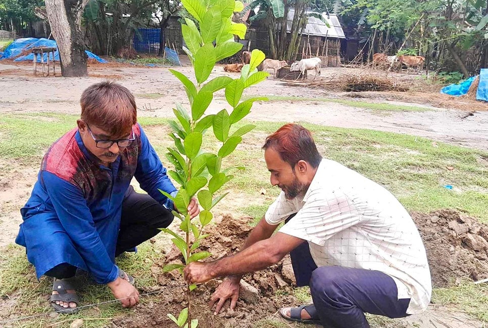 ঠাকুরগাঁওয়ে স্বেচ্ছাসেবক লীগ নেতার বৃক্ষরোপণ 