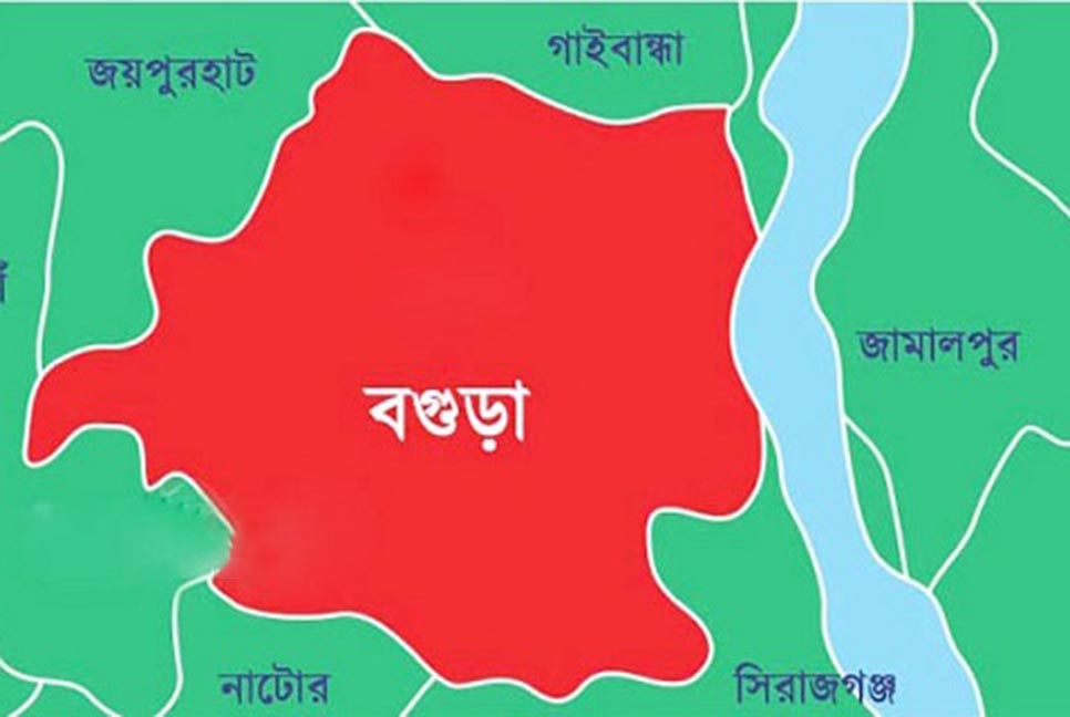 বগুড়ায় কুকুরের কামড়ে আহত ২২

