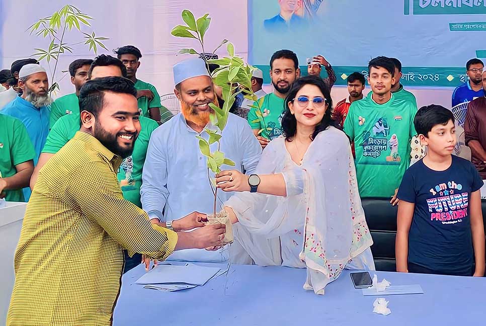 সিংড়ায় ১ লাখ গাছের চারা বিতরণ