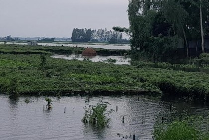 কুড়িগ্রামে পানি কমলেও কমছে না বানভাসিদের দুর্ভোগ