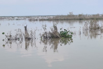 গাইবান্ধায় কমছে পানি, বাড়ছে দুর্ভোগ