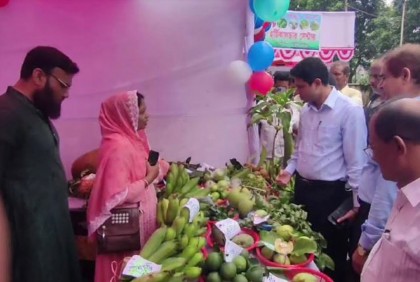 
মেহেরপুরে ফলমেলার উদ্বোধন