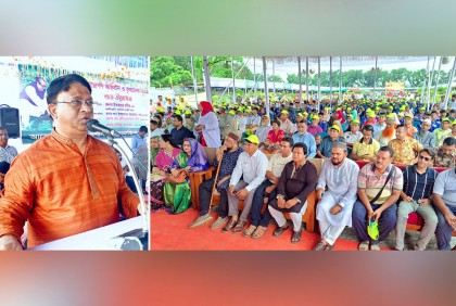 ‘রাজাকার’ বলা শিক্ষার্থীদের জাতির কাছে ক্ষমা চাওয়া উচিত : ইকবালুর রহিম