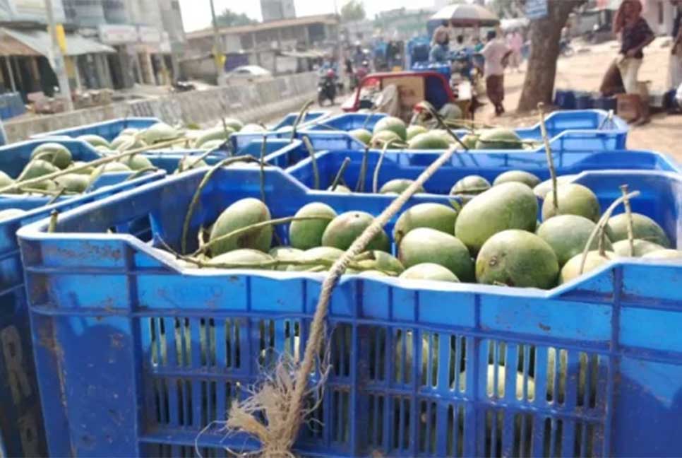 চলমান সংকটে পাহাড়ে লোকসানের মুখে ফল ব্যবসায়ীরা