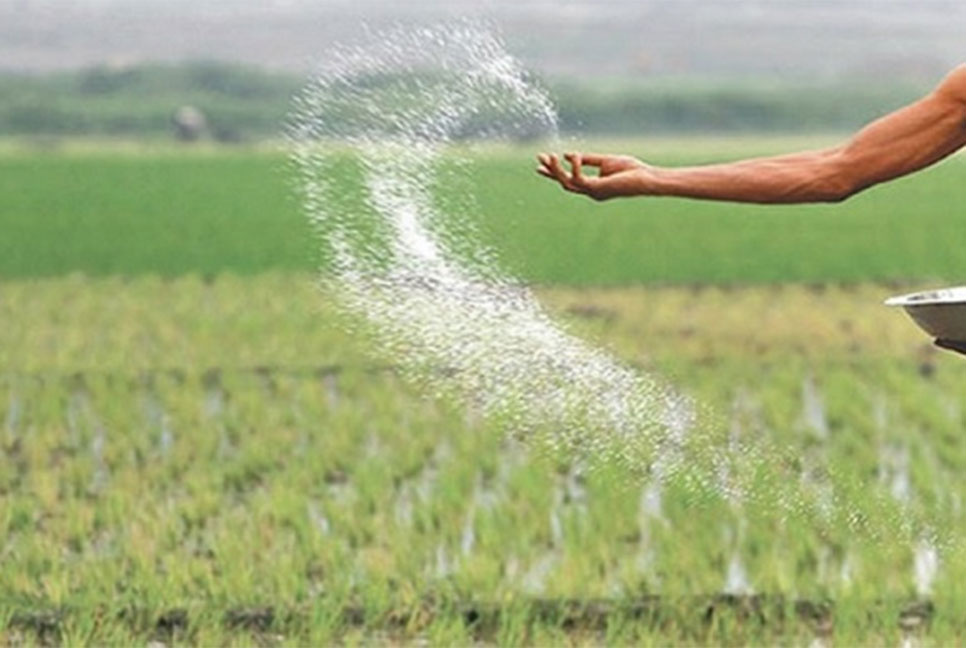 ৭০ হাজার মেট্রিক টন সার আমদানি করবে সরকার