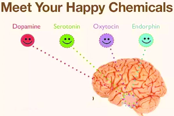 আনন্দ-বেদনার হরমোনসমূহ
