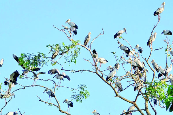 প্রকৃতি