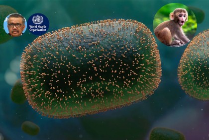 বানর ছাড়াও যেসব প্রাণী থেকে ছড়ায় মাঙ্কিপক্স 