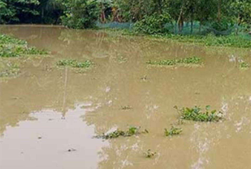 সিলেটে বাড়ছে নদীর পানি, বিপৎসীমা ছাড়িয়েছে কুশিয়ারা