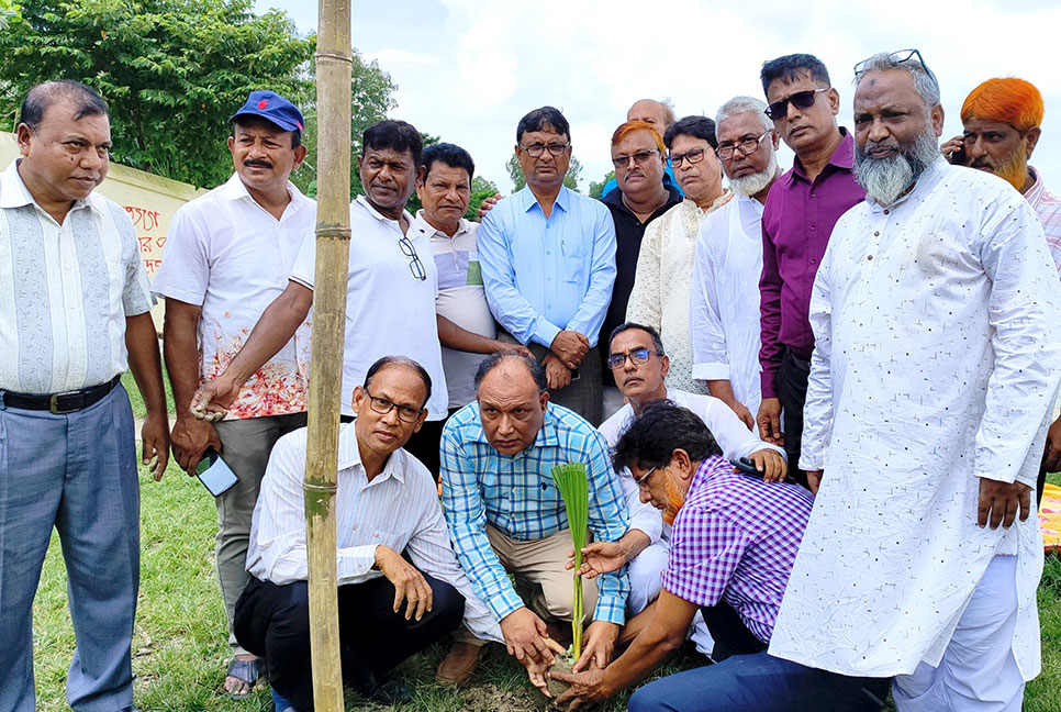 সিরাজগঞ্জে ছাত্র আন্দোলনে
শহীদদের স্মরণে বৃক্ষরোপণ