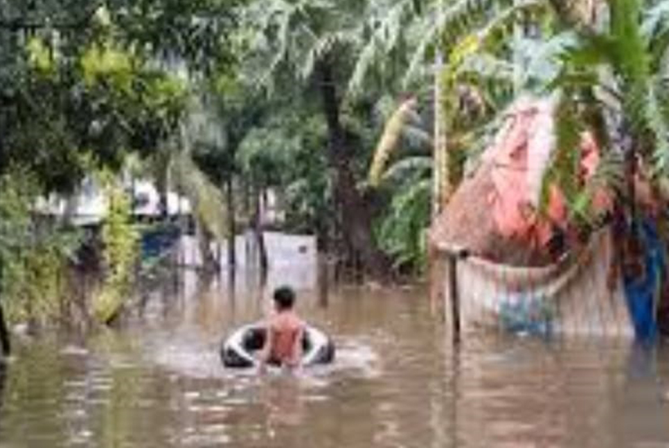 রায়পুরে ভারী বর্ষণে তলিয়ে গেছে নিম্নাঞ্চলের ফসল