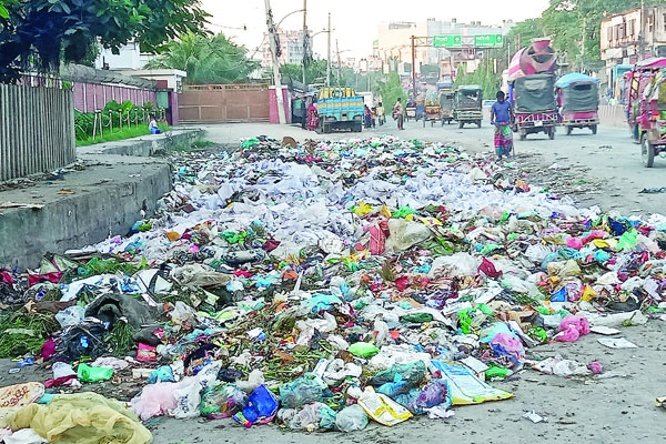 সড়কজুড়ে ময়লার ভাগাড়